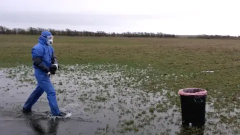 RSPB Scotland Gathering birds