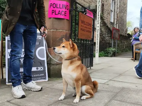 Nick Forbes / PA Media A fox-like light brown dog sits next to its owner by a pink sign saying 'polling place' on a street in Edinburgh, with other voters in the backgorund.