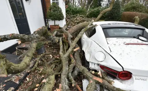 PA Media A car damaged by the tree