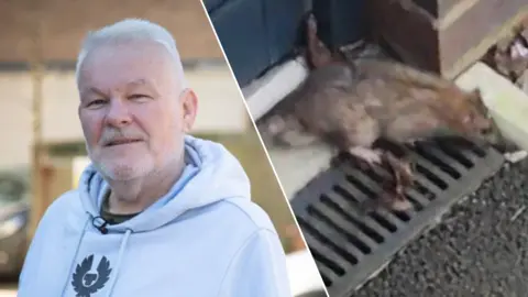 A man with white hair and wearing a grey hoodie, next to an image of a brown rat pictured sitting on tarmac next to a person's home, next to a patch of gravel