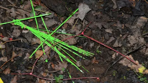 Gloucestershire Police Neon green and red zip ties scattered on the ground in a muddy hole filled with small stones and leaves. 
