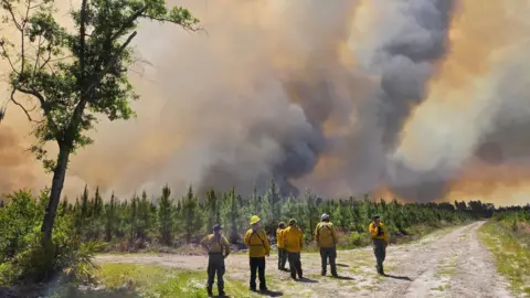 Firefighters with the Georgia Forestry Commission survey the Pineland Road Fire. The firefighters stand in the foreground, wearing yellow jackets and helments. Their backs are to the camera as they watch columns of wildfire smoke, glowing orange, soar hundreds of feet into the air.
