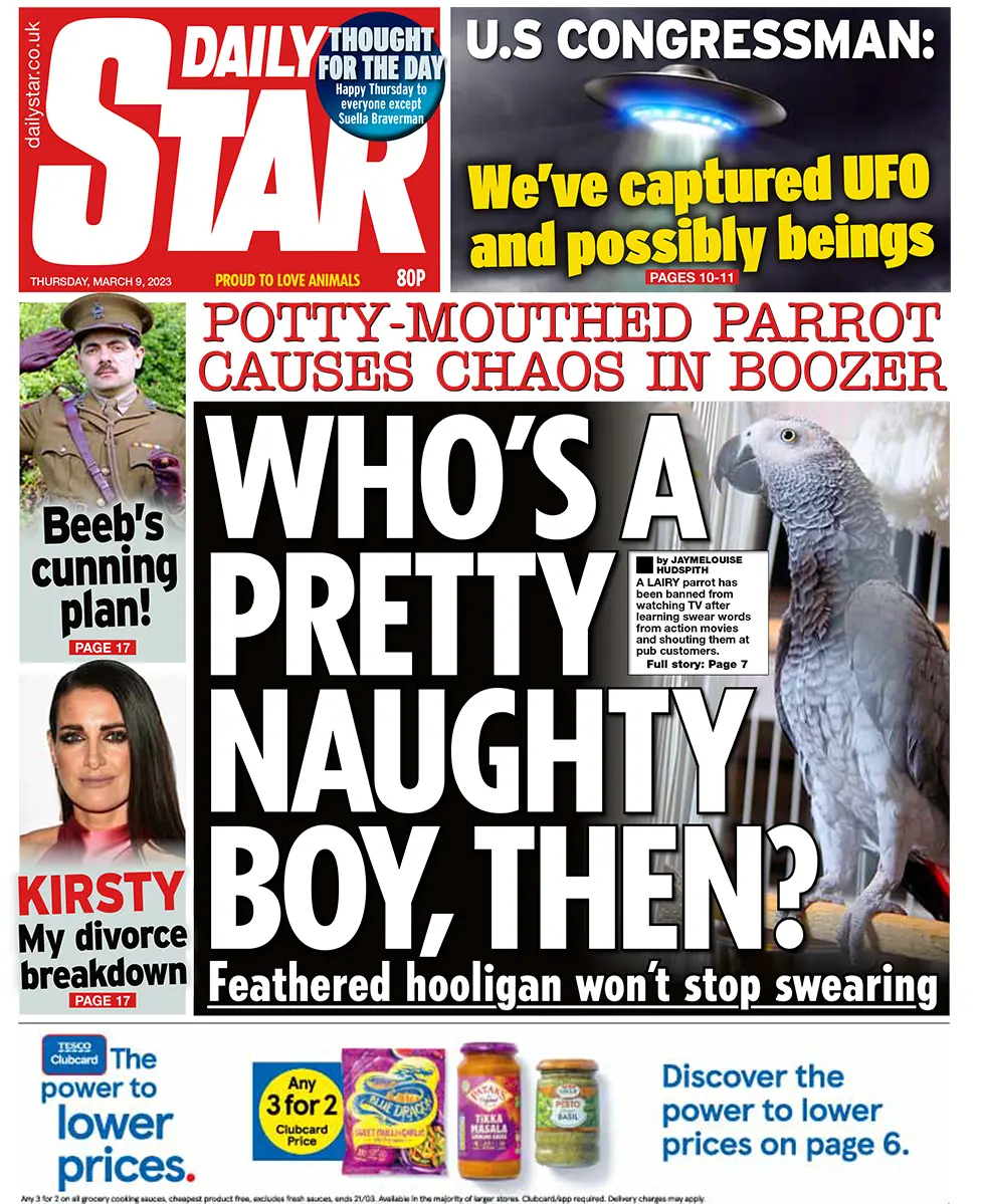 The headline in the Star reads: "Potty-mouthed parrot causes chaos in boozer"