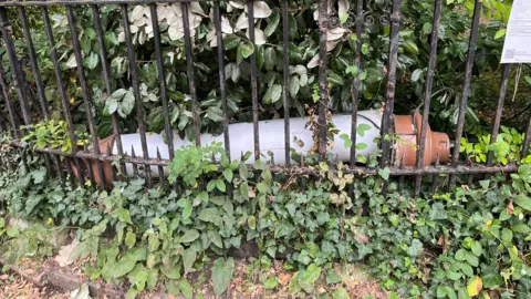 Cambridge City Council A large white cylinder light is behind a black metal fence which leads around a curb. There are several bushes and plants covering the fence and floor.