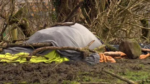 Blankets covering something, it looks like a mound made of blankets. It is in a muddy field by a hedgerow without leaves. 