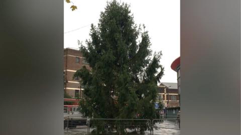 The Christmas tree in Walsall town centre