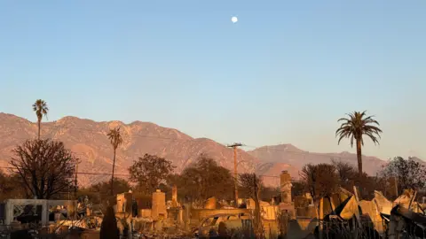 Harry Butler A picture of the devastation caused by the wildfires in LA. There are hills in the distance. In the foreground are the ruined remains of burned-out homes.