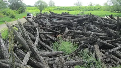 T Bebchuk Tree logs piled up in field