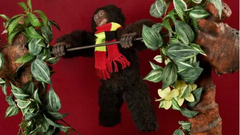Simon Jacobs Charlie the Chimp