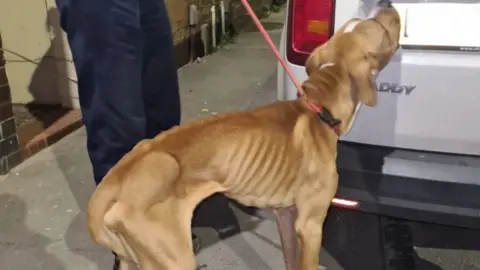 Staffordshire Police The dog after being rescued