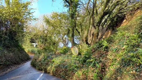 Island Roads Shorwell landslide