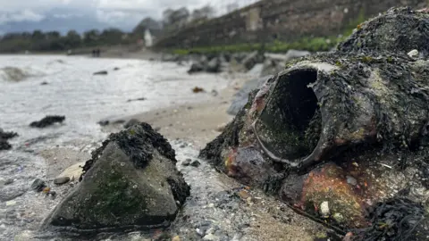 A broken pipe on a beach in the foreground. Sand and sea water are in the background