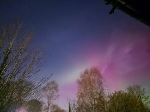 LM Blue and purple sky with trees in the foreground.