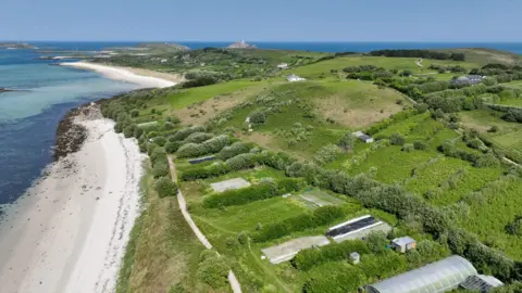 Scilly Organics A aerial of a farm on the coast of St Martin's on the Isles of Scilly. It shows the farm's small fields alongside a sandy beach. In one enclosure you can see a large polytunnel. It is sunny with a clear blue sky.