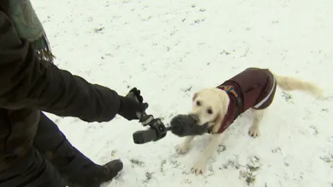 A snowy scene of a white dog in a red jacket biting a camera operators' microphone.