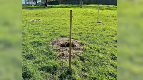 A section of a park showing three holes in the ground where saplings had been planted.