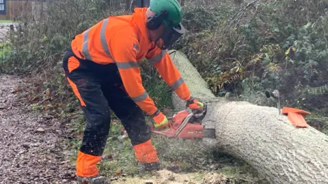 Martin Graves with a power saw cutting the trunk of a fallen tree