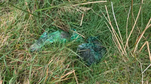 Two green dog poo bags lying in a patch of grass. 