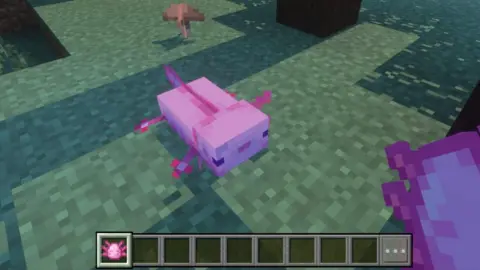 Mojang/Microsoft Minecraft pink axolotls. 