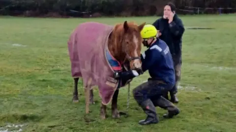 Hampshire and Isle of Wight Fire and Rescue Service The horse stood in green field in the rain with a woman on the phone next to it and an man in safety clothing, including a high visibility helmet, unclipping something from around the animal's neck.