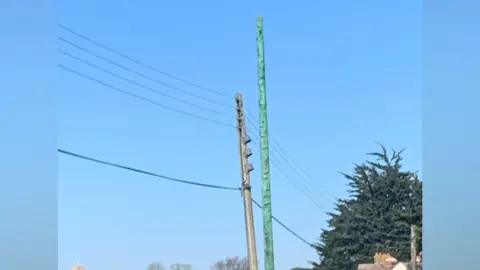 LDRS Two telegraph poles side by side. One, which is connected to wires, is brown and listing to one side. The other is not yet connected up but is bright green in colour.