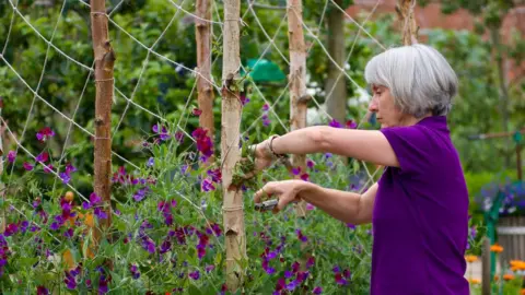 BBC Guy's Cliffe Walled Garden