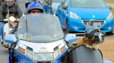 Alan Valkeith Alan Valkeith is riding a blue motorbike which has a sidecar with his St Bernard dog, Louis, sitting in it. Valkeith is wearing a black coat, black framed sunglasses and a blue helmet. Louis is also wearing a blue helmet and blue goggles and has a GoPro attached to his helmet.
