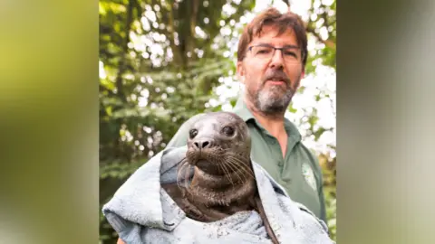 South Essex Wildlife Hospital Tom Linsel holding the seal, which is wrapped in a towel