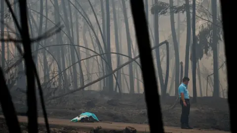 AFP/Getty Images A policeman stands by a dead body of a victim of a wildfire in Pedrogao, on June 18, 2017