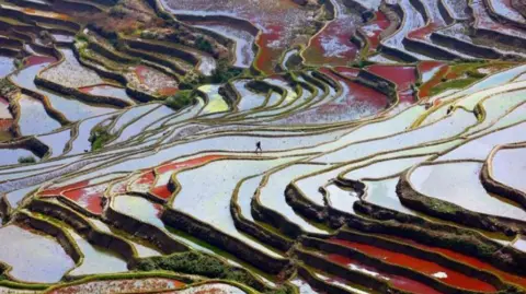 Raymond Zhang An image of a snowy palete of steep steps with a perrson walking in the distance