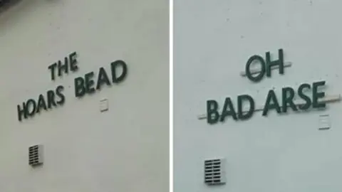 Daniel Newcombe-Williams Boar's Head