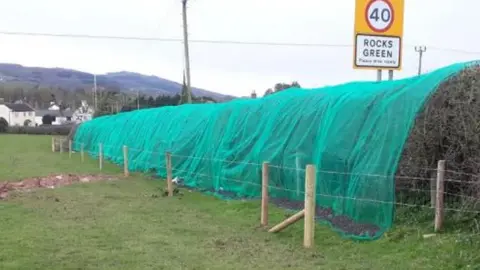 Andy Boddington Hedgerow with meshing