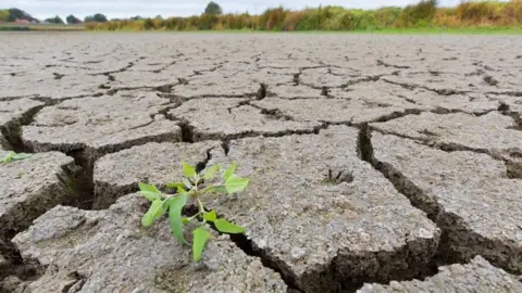 Getty Images Cracked soil