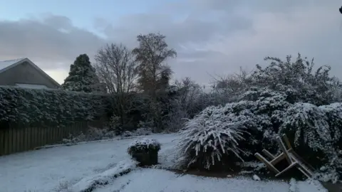 Suzanne - BBC weather watcher A garden with a blanket of snow over it. There are trees and bushes, and a fence around it.