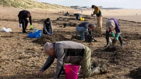 A crowd of people on their knees on a sandy beach picking up debris