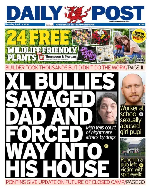 Daily Post Daily Post front page