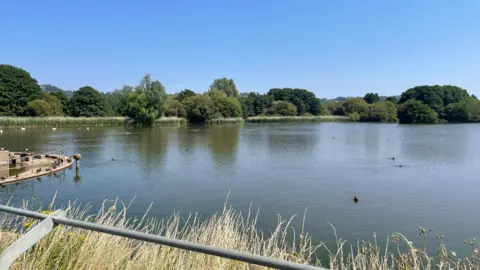 A view over a lake. Long grass can be seen in the foreground. Ducks can be seen swimming on the lake's surface and there are trees lining it in the background.