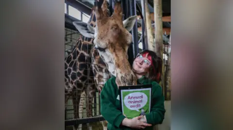 Marwell Zoo Rhiannon Wolff smiling beside a giraffe at a Marwell Zoo enclosure. The giraffe is standing beside her and is behind a fence. Rhiannon is looking at it and is holding a notebook that reads Annual animal audit.