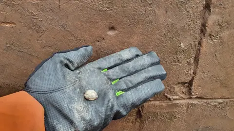 HS2 A musket ball in a gloved hand