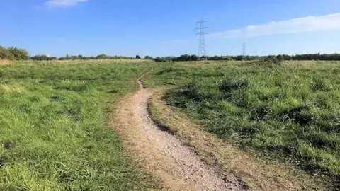 A green field with a dirt track through the middle and powerlines in the distance. 