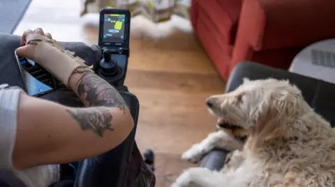 A pale brown dog sits on a chair alongside a person in a wheelchair with a tattoo on a bare arm.