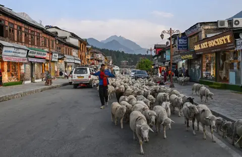 Abid Bhat/BBC A man drives sheep through the main street in Pahalgam