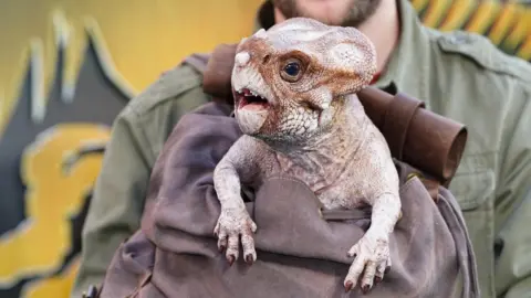 The head and front legs of a juvenile animatronic dinosaur emerging from a knapsack at a film premiere. It has a triceratops-style crest and the beginnings of a horn on its nose.