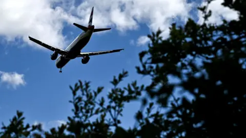 Ben STANSALL / AFP via Getty Images A silhouetted plane flies overhead with shrubbery in view against a blue sunny-cloudy sky while arriving at Gatwick Airport on 20 April.