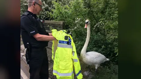 BCH Road Police Swan with police officer