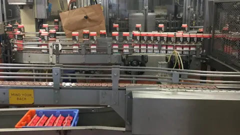 BBC Milk being moved in cartons on conveyer belt.