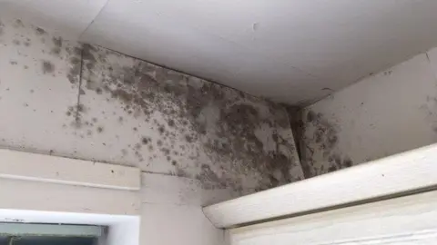 States of Jersey Damp