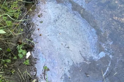 Matt Staniek Polluted water in Windermere