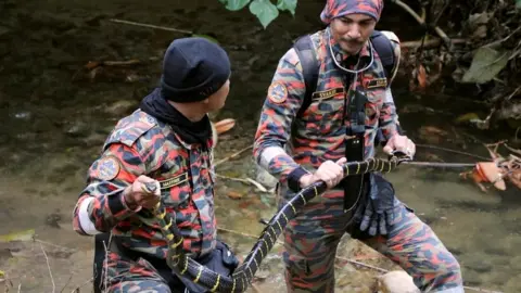 Reuters Searchers holding snake