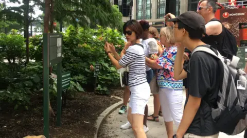 BBC A tour group photographs a sign marking the location of New York City's slave market.